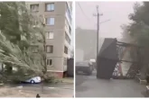 Павлодар облысында дауылдан әйел адам қаза тапты