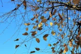 6 қыркүйекте барлық өңірде дауылды ескерту жарияланды