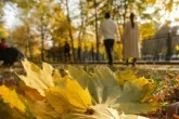 Еліміз бойынша 11 қыркүйекке арналған ауа райы болжамы