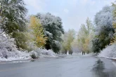 Оңтүстікте үсік, солтүстікте қар: 7 қазандағы ауа райы тұрғындарды әбігерге салады