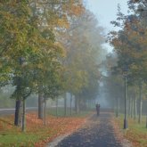 Бүгін еліміздің басым бөлігінде жел соғып, тұман түседі
