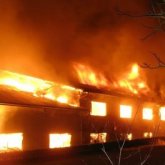 1 жылқы, 4 бұзау өлді: Қостанай облысында мал базасы өртенді