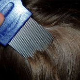 Алматы облысында қызының шашындағы битін тазаламақ болған әйел, оны өлтіріп алды