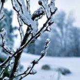 Күн жылынады – Қазгидромет