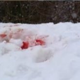 Первоклассница выпала из окна школьного кабинета в Караганде