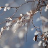 Синоптики рассказали о погоде в выходные