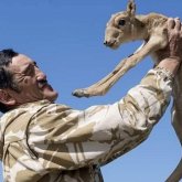 Погибший от рук браконьеров инспектор награжден орденом «Барыс» посмертно