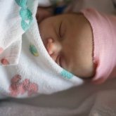 Алматы облысында жаңа туған сәбиді шарбаққа іліп кеткен