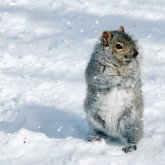 Антициклон удержит погоду без осадков в Казахстане