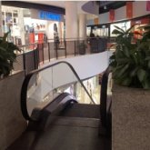 Демалыстағы келеңсіз жайттан кейін «Хан шатырдағы» пальмалар алынып тасталды