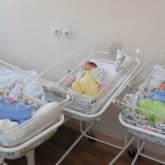 Жаңақорған ауданында үшем өмірге келді
