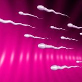 Әйелдердің жүктіліктен сақтану жолдарының түрі көп