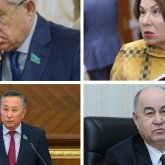 «Пенсиядағы Парламентті» ауыстыруға не кедергі?