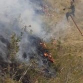 Дала өртін сөндіремін деп қаза тапқан ер адамның отбасына пәтер беріледі