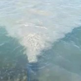 Алакөлдің суын ластаған қонақ үй жабылуы мүмкін