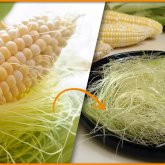 Ерлердің жыныс жолдарындағы ауруды емдейді: жүгерінің шашағы тағы неге ем?