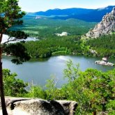 Тоқаев Бурабайдағы ағаштарды кесуге тыйым салды