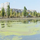 Астананың Ақбұлағы: кеше ластанғаны анықталса, бүгін бала өліміне себеп болып отыр