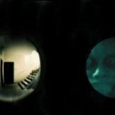 «Бетін тістелеп, жеуге кірісті»: есігімді дүрсілдете қаққан мақұлықты көзбен көрдім