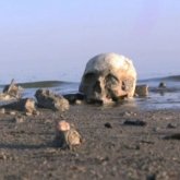 Қонақ үйдің №999 бөлмесі: кірген адам тірі шықпайтын жерде мистик-жазушы да көз жұмды