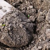 Қарағандыда әйелдердің өсегінің кесірінен кәсіпкер тірілей көмілген