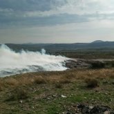 Ауа құрамында таралған күкіртті сутек өскемендіктерге қауіп төндіріп тұр - экология департаменті