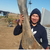 Атырау облысында алып жануардың сүйегі табылды