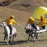 Алғаш рет өткен арба бәйгесі: Алматы облысында шетелдік студенттер ерекше әсерге бөленді