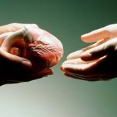 Қытайлықтар 300 баланың ағзасын бөлшектеп, тоңазытқышта сақтаған (ВИДЕО)