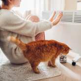 Бөлмедегі құрғақ ауаның қаупі қандай?