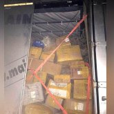 Алматыға 22 тонна сексеуілді жүк көлігімен заңсыз тасығандар ұсталды