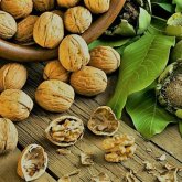 Тәулігіне 7 жаңғаққа дейін жеп тұрыңыз - маман кеңесі