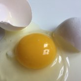 «Адам сенгісіз жайт»: Ресейлік БАҚ-тың бірінде жарық көрген хат елең еткізді