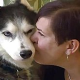 «Қайта-қайта иіскеп»: ит қожайынының қай жері ауыратынын дәл тапты