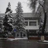 Алматыда күрдтердің мәдениеті мен дәстүрлеріне арналған мерекелік фестиваль өтті