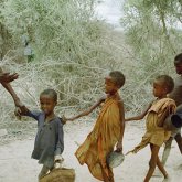 Зимбабведе құрғақшылықтан 8 миллион адам аштыққа шалдықты