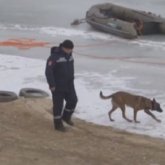 Кинологтар Жайық жағалауынан 15 жастағы жасөспірімнің мәйітін тапты