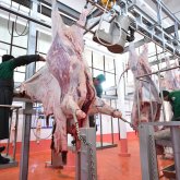 «Бруцеллез, бруцеллез деп дүрлігіп...»: ауыл халқының азын-аулақ малын етке өткізіп жатқан кімдер?