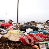 Алматыда қоқыстан жарамдылық мерзімі өткен тағамдарды тауып жейтін «ерекше» жастар бар