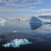 Жаһандық жылыну салдарынан масалар жойылып кетуі мүмкін