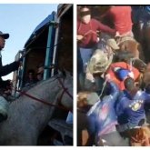 «Жігіттер... Сабыр қылыңдар, жігіттер!»: Түркістан облысында салт аттылар жаппай төбелесе кетті (ВИДЕО)