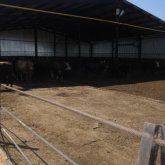 «Жолы болмаған жастар амалдың жоғынан аграрлық мамандық таңдауға мәжбүр» - «Олжа Агро» ЖШС бас директоры