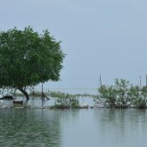 «Өзбекстан біз жаққа бір тамшы су да бармайды деген» - Сәкен Қалқаманов