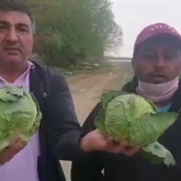 Биыл түркістандық шаруалар қырыққабатты арзан бағамен сатуға мәжбүр болды