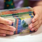 Сенат сайлауына бюджеттен қанша ақша бөлінетіні белгілі болды