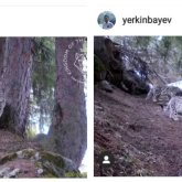 Алматы маңында қар барыстарының серуендеп жүрген сәті ВИДЕОға түсіп қалды