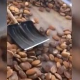 Атыраулықтар «адам шошырлық» лас жерде істелген нан өнімдерін жеп келген (ВИДЕО)