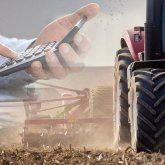 Қостанайлық 300-ге жуық шаруа жер салығынан босатылмаған