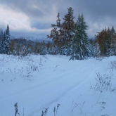 ШҚО-ға қалың қар жауды