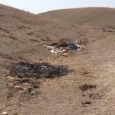 «Қорлап өлтірген»: Түркістан облысында жас жігітті 4 ер адам аяусыз өлтіріп, денесін өртеп жіберген (ВИДЕО)